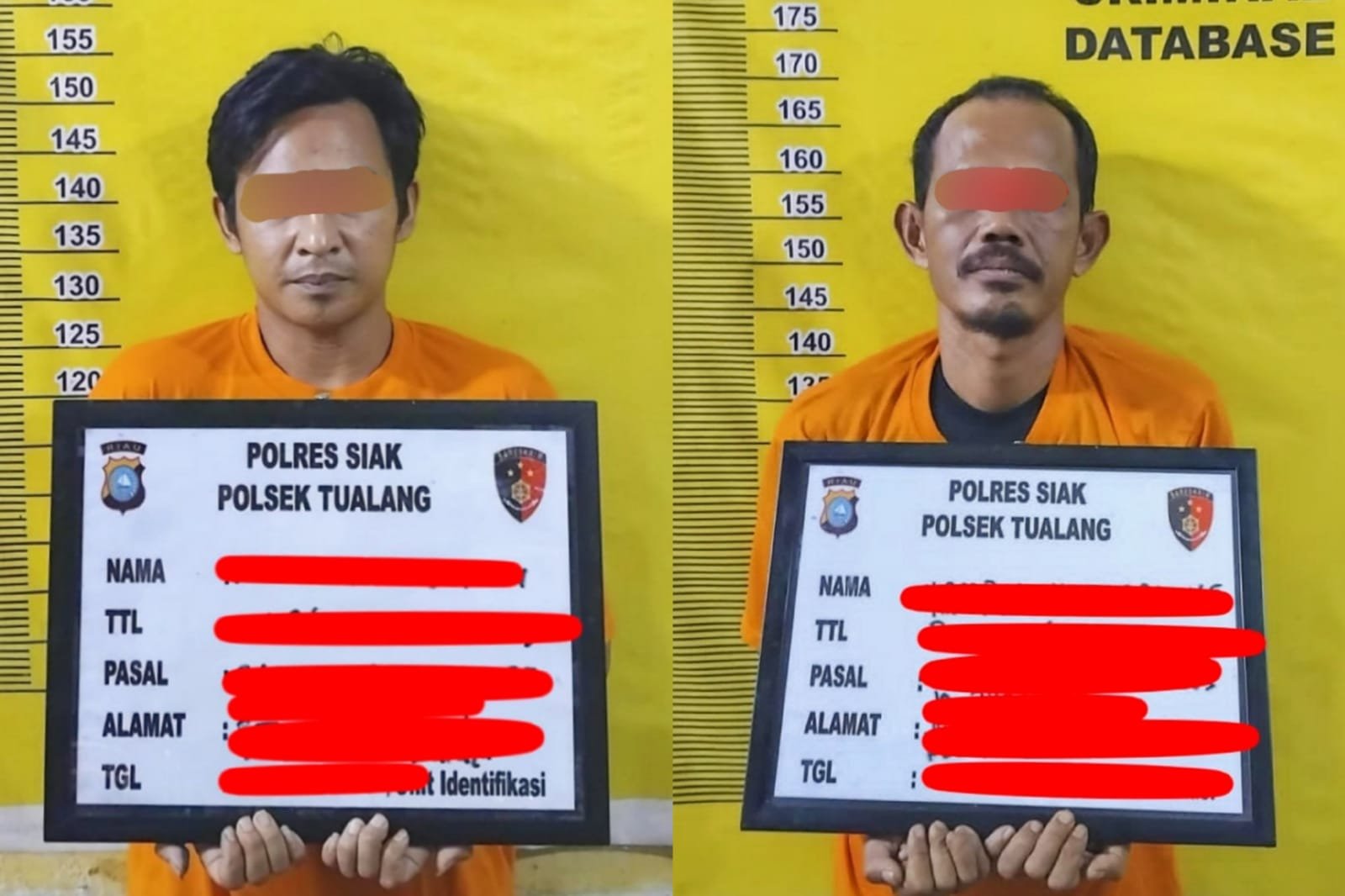 Kasus Curas Disertai Pemerkosaan Di Kecamatan Tualang, 2 Tersangka Berhasil Dibekuk Polsek Tualang