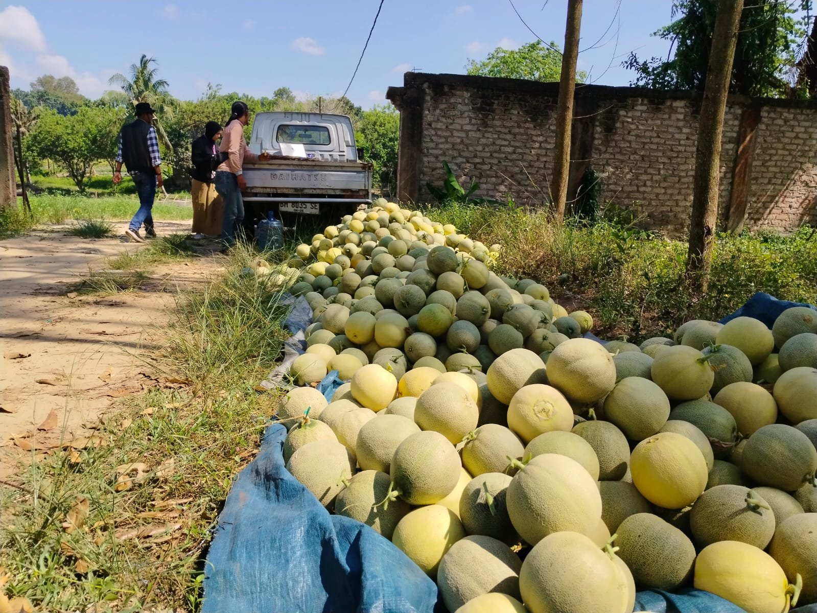 Luar Biasa, Petani Binaan IKPP Berkembang Dengan Omset Puluhan juta