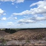 Kerusakan Hutan Berpotensi Rugikan Negara Hingga 175 Triliun